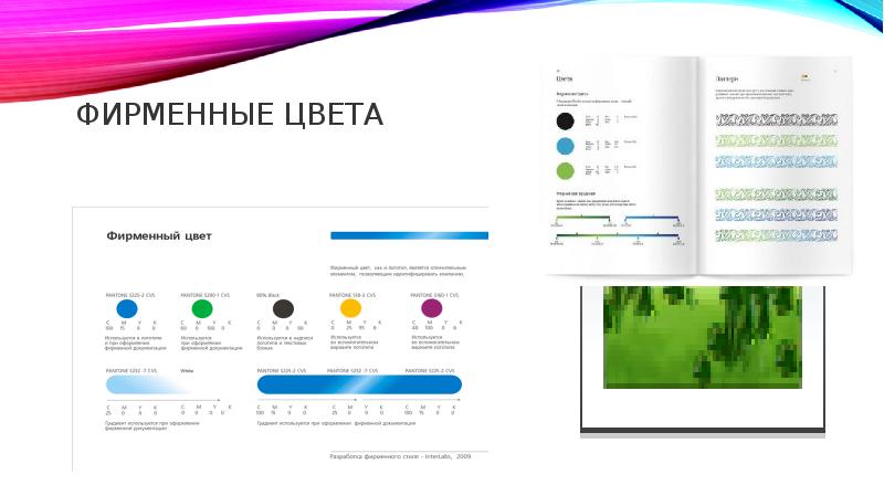 Презентация фирменных цветов