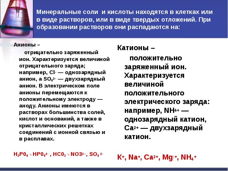 Минеральные соли это. Двухзарядный анион. Двухзарядный катион. Минеральные соли и кислоты. Двухзарядный катион и анион.