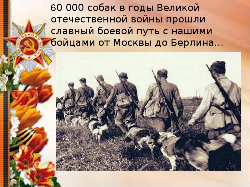 Животные участники великой отечественной войны 1941 1945 презентация