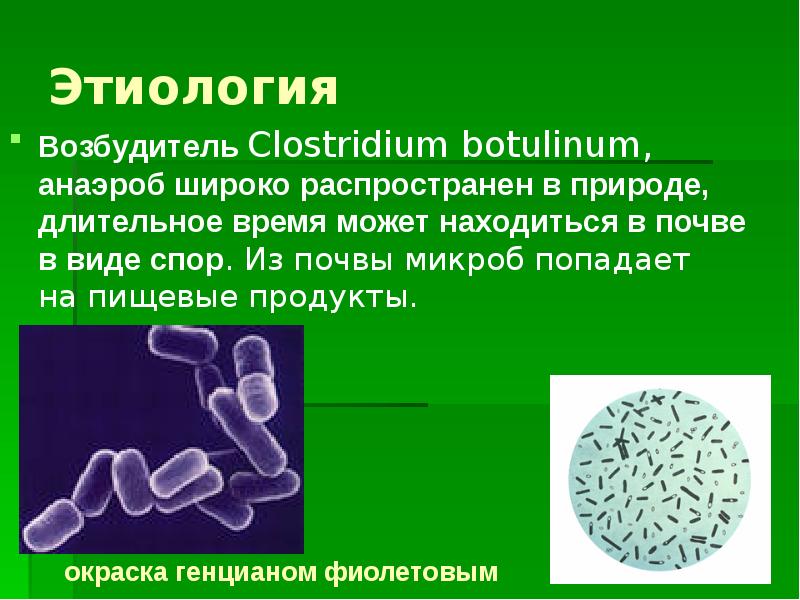 Ботулизм патогенез схема