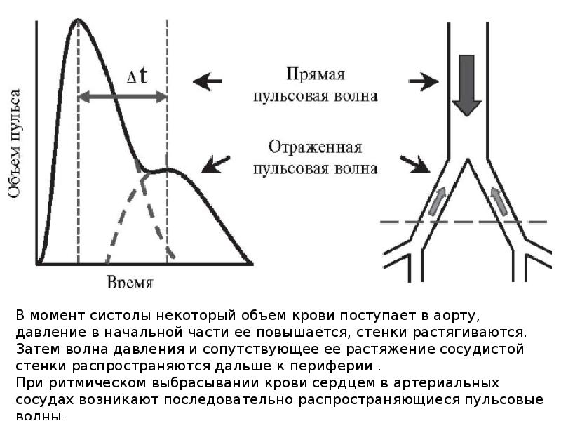 Презентация ультразвуковое исследование сосудов