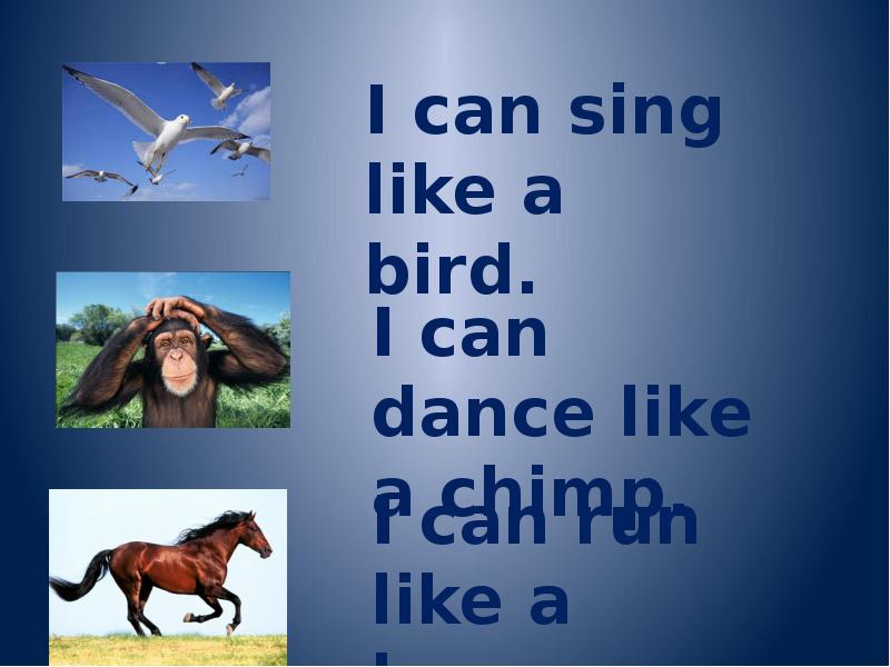 A chimp can sing. Sing like a Bird. I can Run like a Horse. I can Sing like a Bird. Стих can.