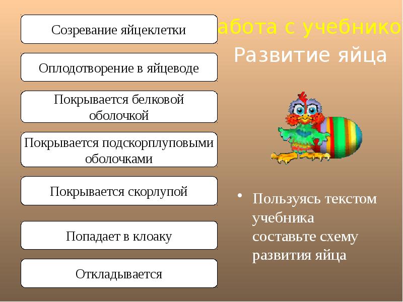 Годовой исследовательский проект сезонных изменений часть 4 здравствуй лето