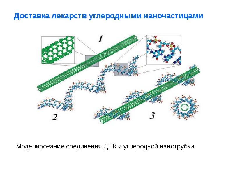 Презентация нанотехнологии в биологии