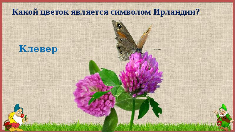 Какой из цветов не является. Какой цветок является символом идеи. Какой цветок является символом тайны. Какой цветок считается символом жизни. Какой цветок является символом лета.