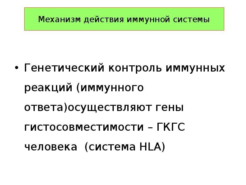 Генетический контроль иммунного ответа презентация