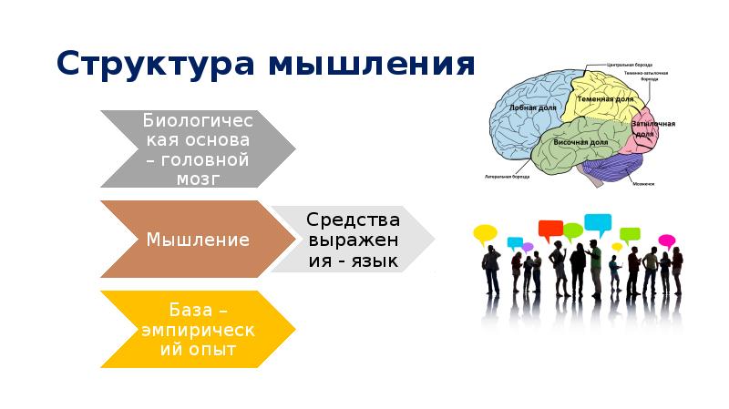 Элементы мышления. Структура мышления. Структура мысли. Структура мыслительной деятельности.