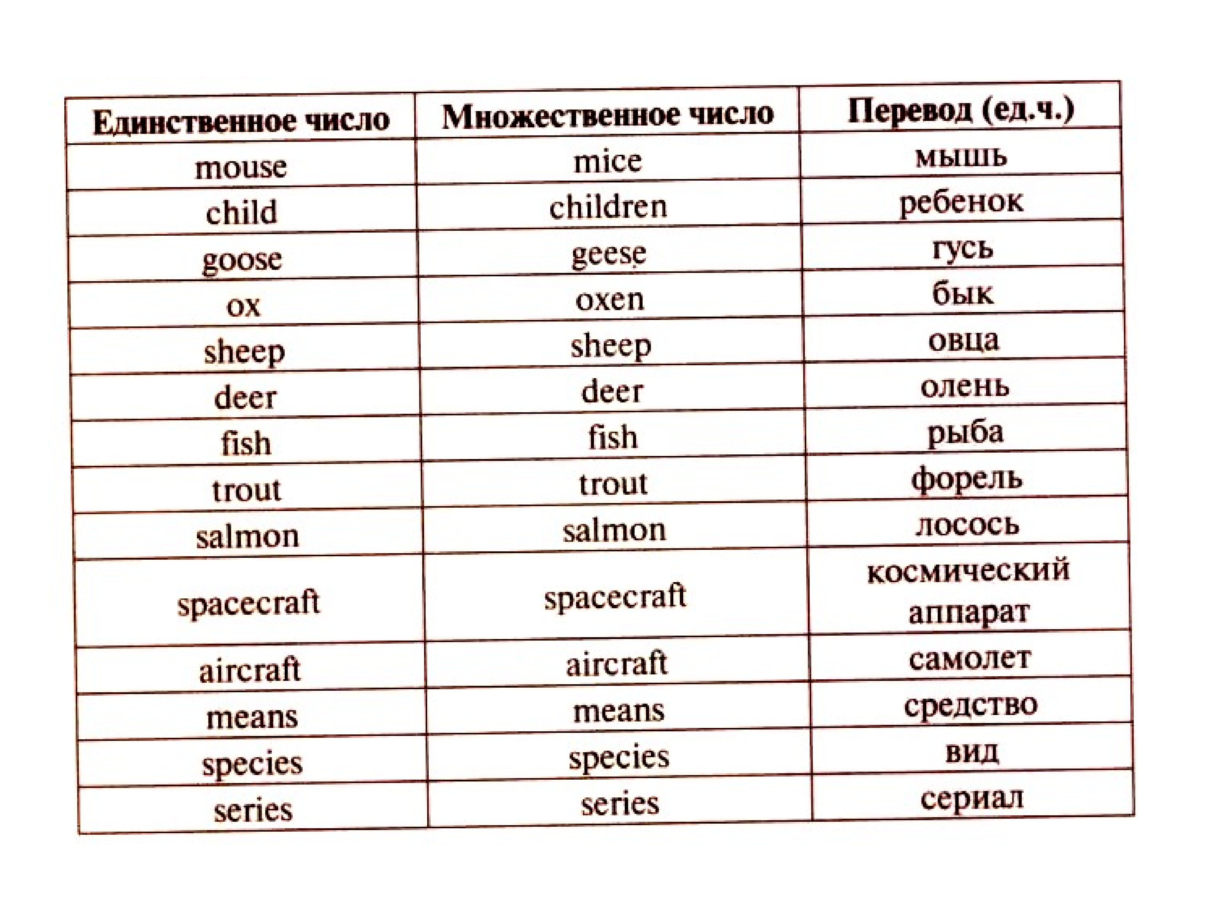 полк в множественном числе