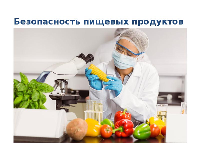 Пищевая безопасность. Безопасность пищевых продуктов фото. Оценка безопасности пищевых продуктов. Пищевая безопасность химия. Санитария и пищевая безопасность.