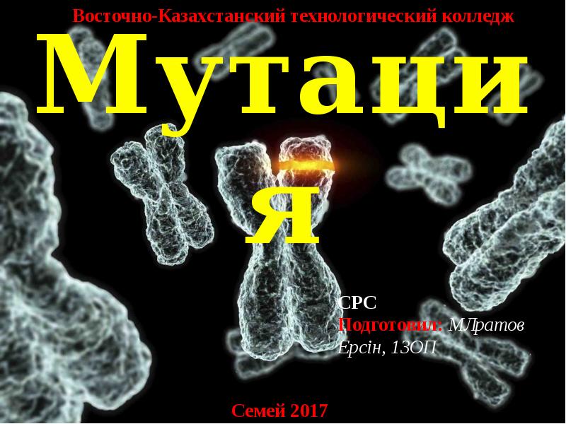 Мутация Мутация