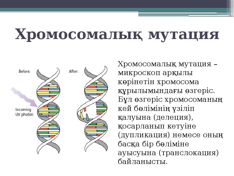 Знаки и мутации