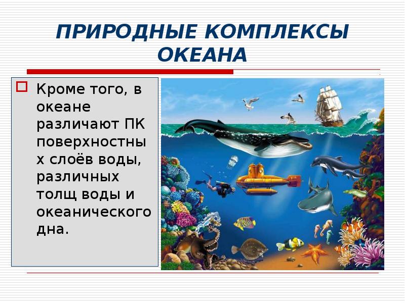 ПРИРОДНЫЕ КОМПЛЕКСЫ ОКЕАНА Кроме того, в океане различают ПК поверхностных слоёв