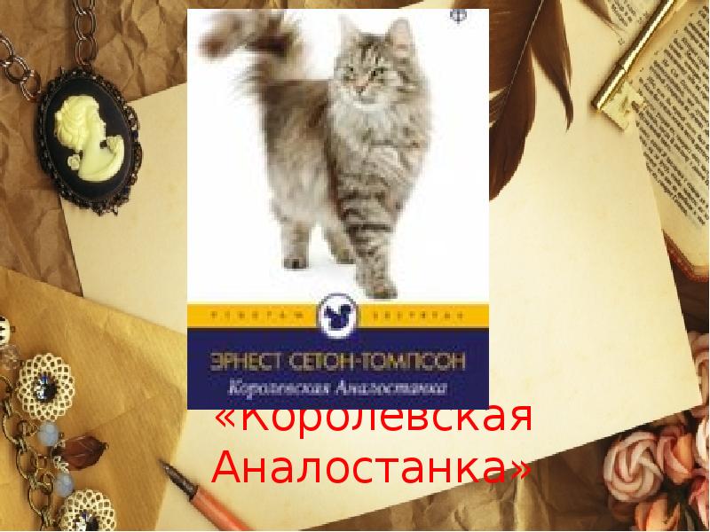 Королевская аналостанка слушать. Королевская Аналостанка. Королевская Аналостанка иллюстрации. Королевская Аналостанка краткое содержание.