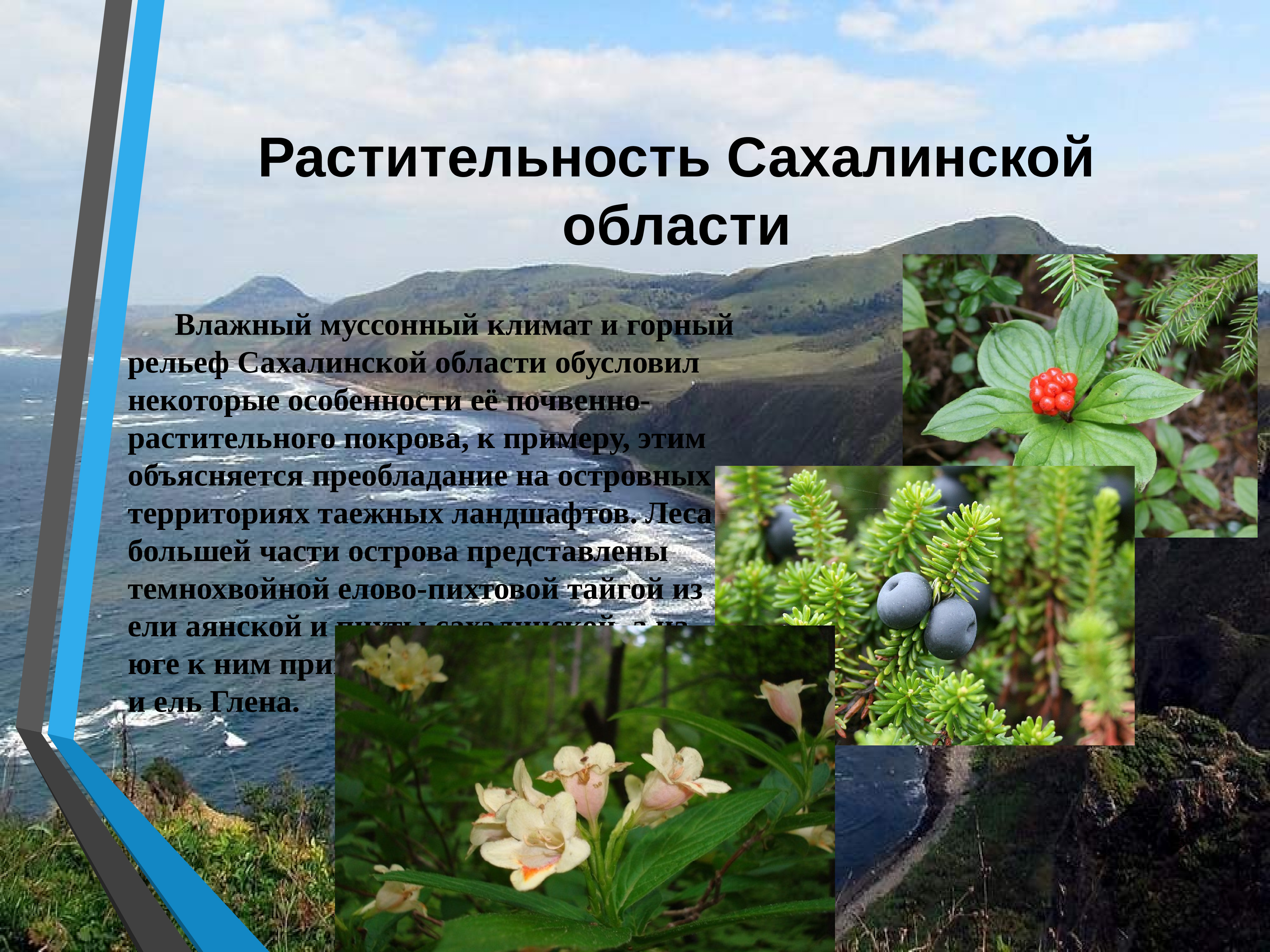 Растения и животные Сахалинской области
