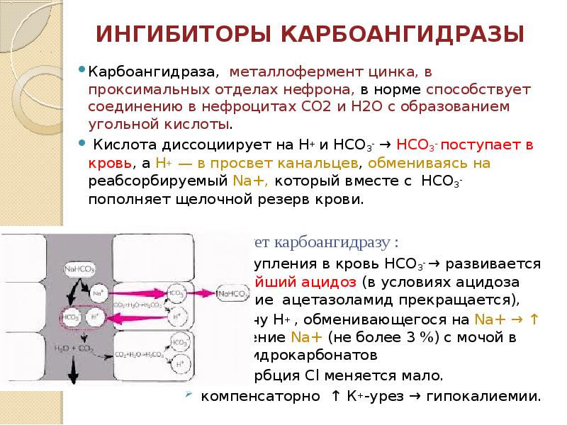 Ингибиторы гидратообразования презентация