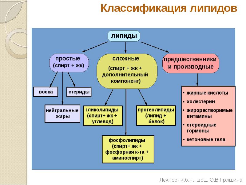 Какие функции выполняют липиды. Обмен липидов схема. Классификация липидов схема. Классификация липидов таблица. Классификация липидов с примерами.