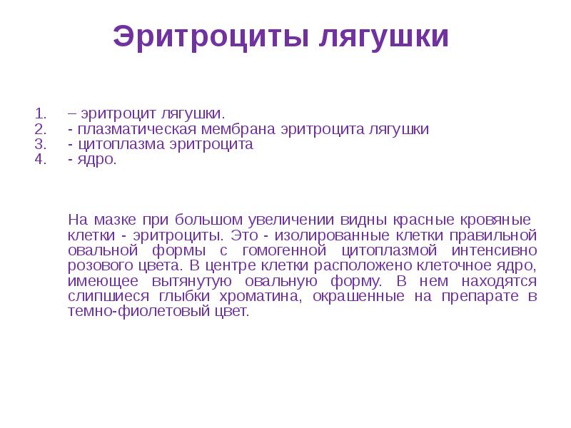 Эритроциты лягушки   – эритроцит лягушки. - плазматическая мембрана эритроцита