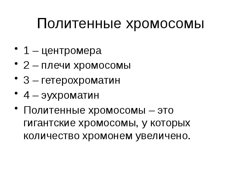 Политенные хромосомы 1 – центромера 2 – плечи хромосомы 3 –