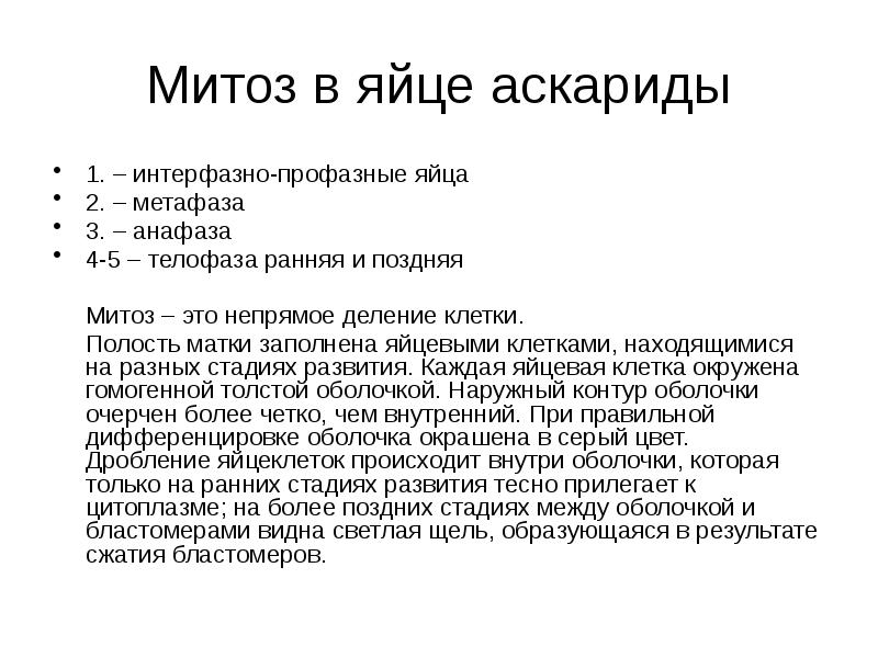 Митоз в яйце аскариды 1. – интерфазно-профазные яйца 2. – метафаза