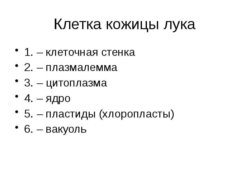 Клетка кожицы лука 1. – клеточная стенка 2. – плазмалемма 3.