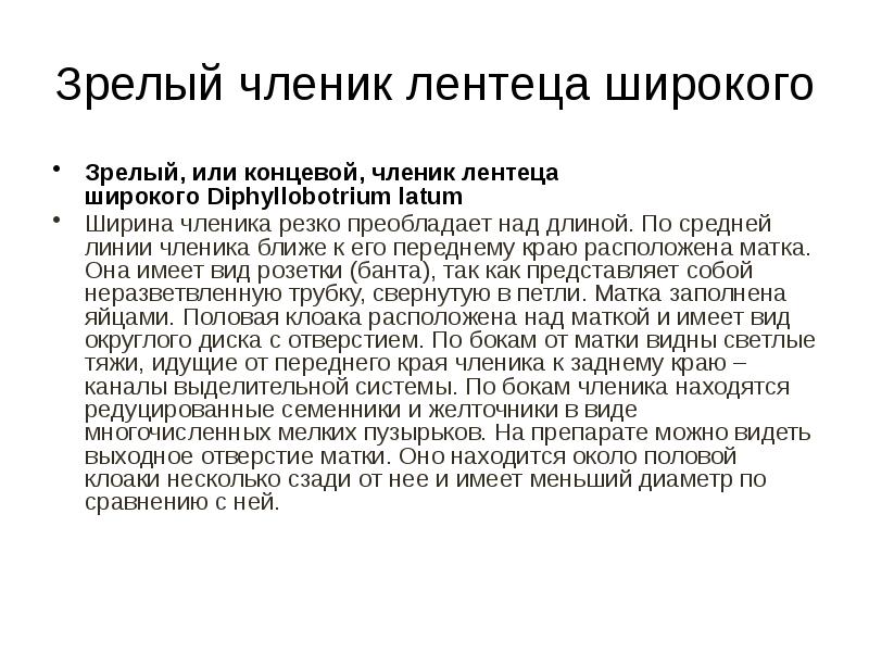 Зрелый членик лентеца широкого Зрелый, или концевой, членик лентеца широкого&nbsp;Diphyllobotrium&nbsp;latum Ширина