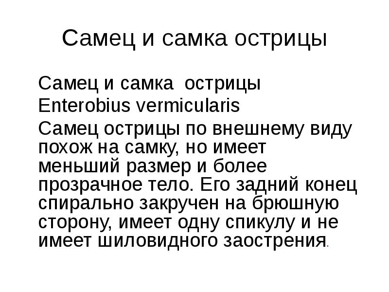 Самец и самка острицы 	Самец и самка &nbsp;острицы  	Enterobius vermicularis