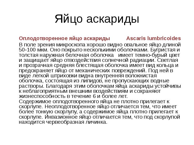 Яйцо аскариды 	Оплодотворенное яйцо аскариды&nbsp;     Ascaris&nbsp;lumbricoides 	В