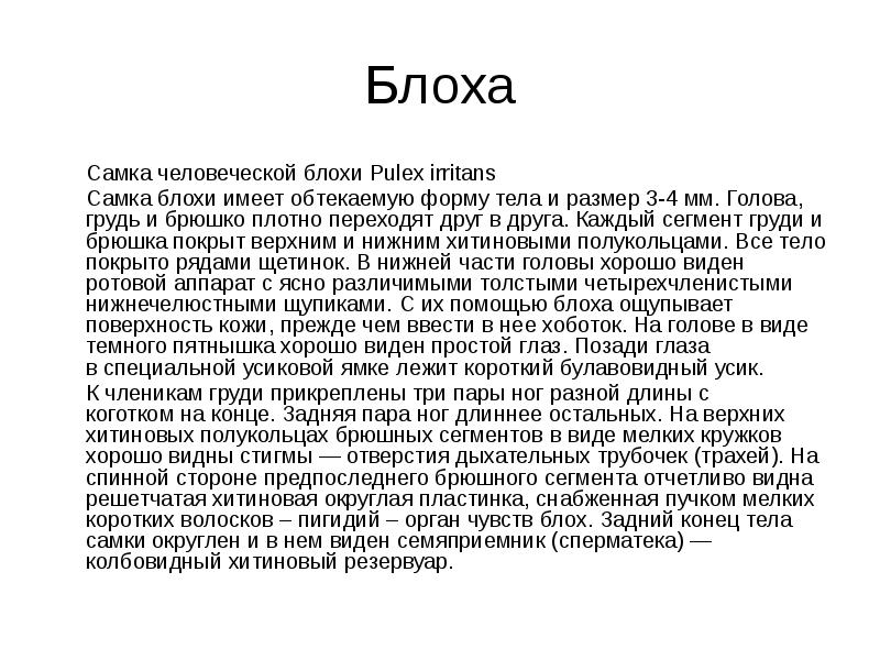 Блоха 	Самка человеческой блохи&nbsp;Pulex&nbsp;irritans 	Самка блохи имеет обтекаемую форму тела и