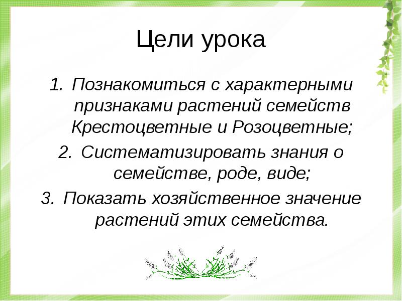 Семейство крестоцветные и розоцветные презентация