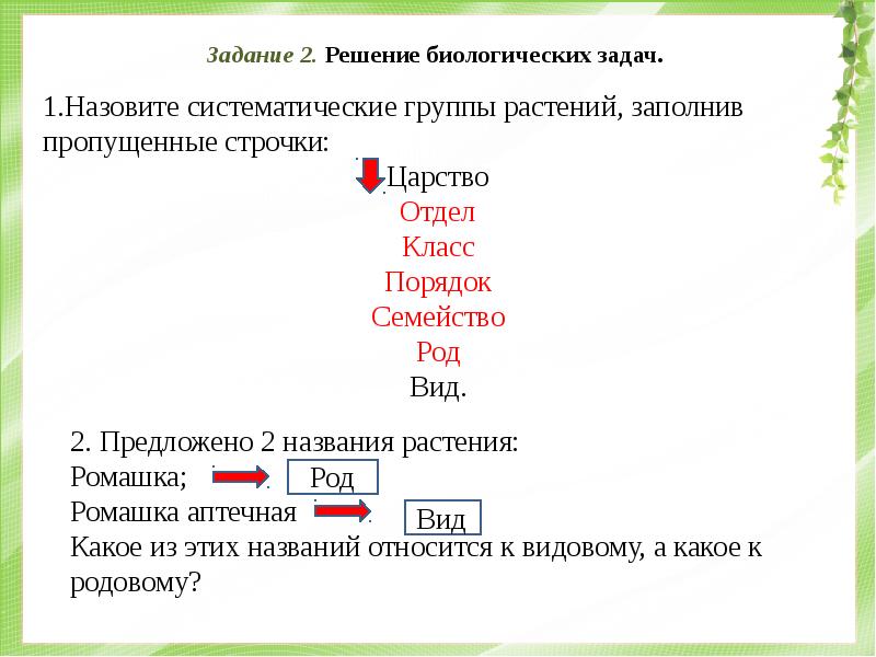 Назовите систематическую