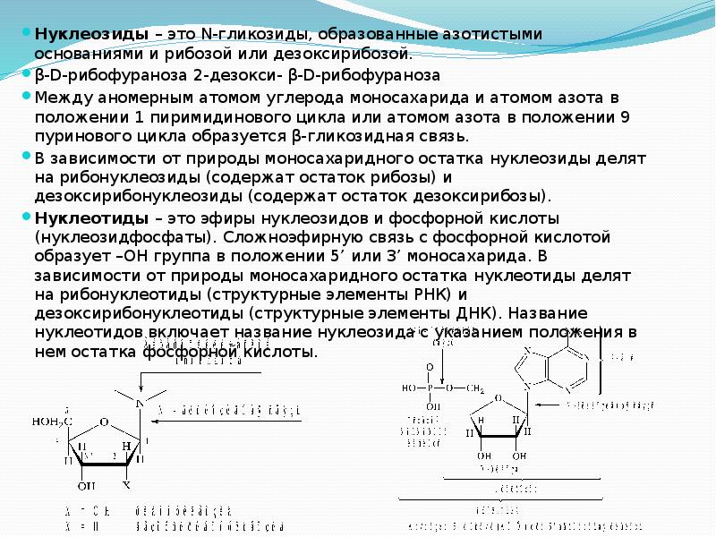 В состав входит остаток рибозы