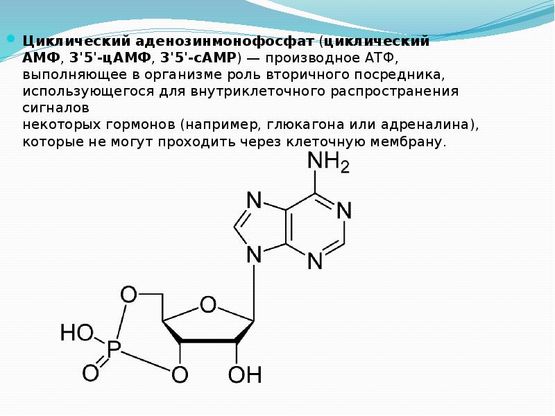 Как называется b6. Как называется b6