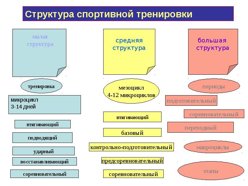 Этап подготовки моделей. Структура и содержание самостоятельной спортивной тренировки. Модель схема построения многолетней тренировки спортсменов. Структура спортивной подготовки. Структура процесса спортивной подготовки.