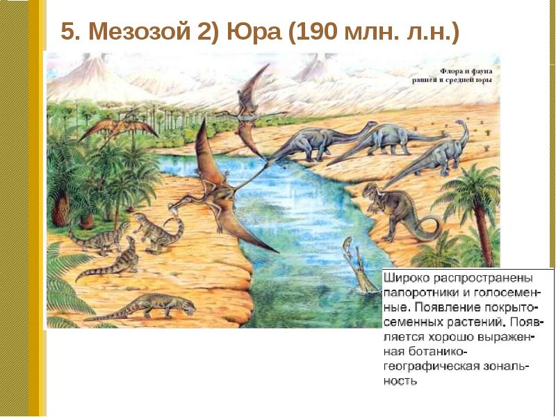 Развитие жизни на земле мезозой презентация