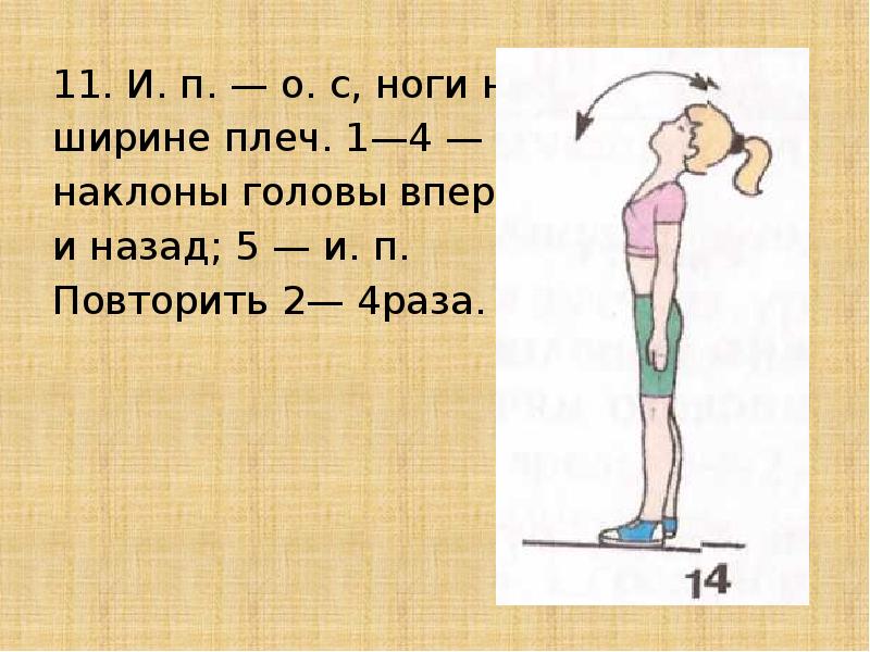 Ноги на ширине плечей. Ноги на ширине плеч наклоны вперед. Упражнения и.п. наклоны. Упражнение наклон головы вперед. Как правильно выполнять наклоны головы.