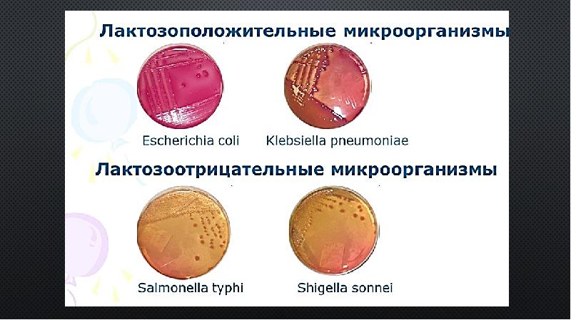 Стул при дизентерии тест