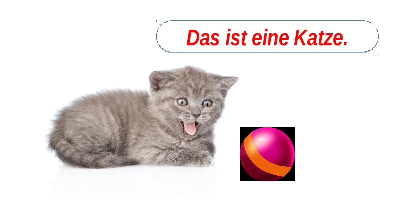 Ist eine. музейный остров (museumsinsel). Katze по немецки. штадт на немецком. задания das ist.