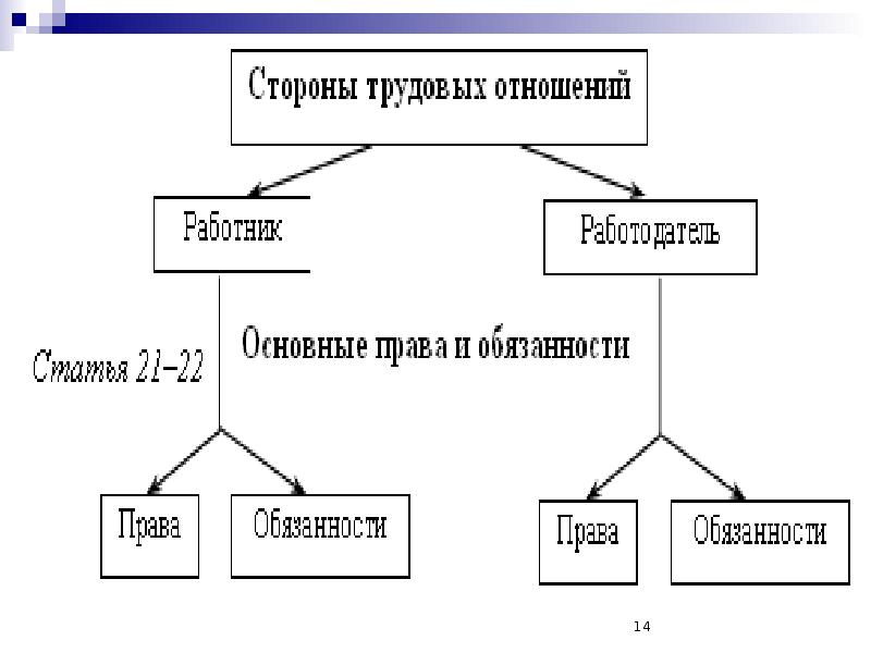 Запиши пропущенное в схеме слово как сторона трудового правоотношения физическое лицо юридическое