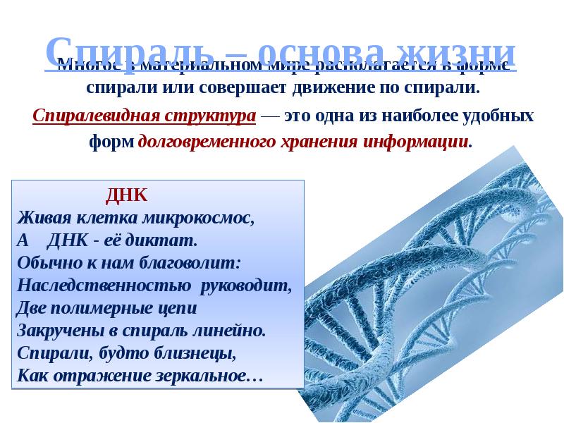 Генетическая информация презентация 10 класс углубленный уровень