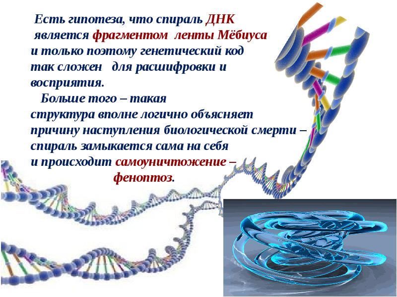 Генетическая информация это. Генетическая информация удвоение ДНК. Генетическая информация кратко. Генетическая информация удвоение ДНК конспект кратко. Спираль ДНК лента Мебиуса.