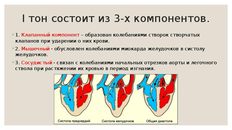 I тон состоит из 3-х компонентов. 1. Клапанный компонент – образован