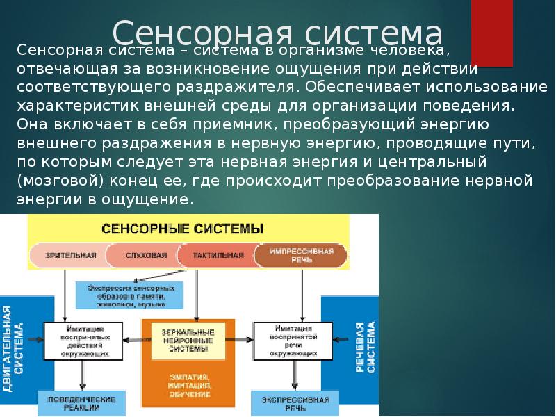 Использование характеристик. Сенсорная система включает в себя. Сенсорные системы внешней среды. Первичный анализ поступающей в организм информации происходит в .... Ощущения внешней среды ощущения.