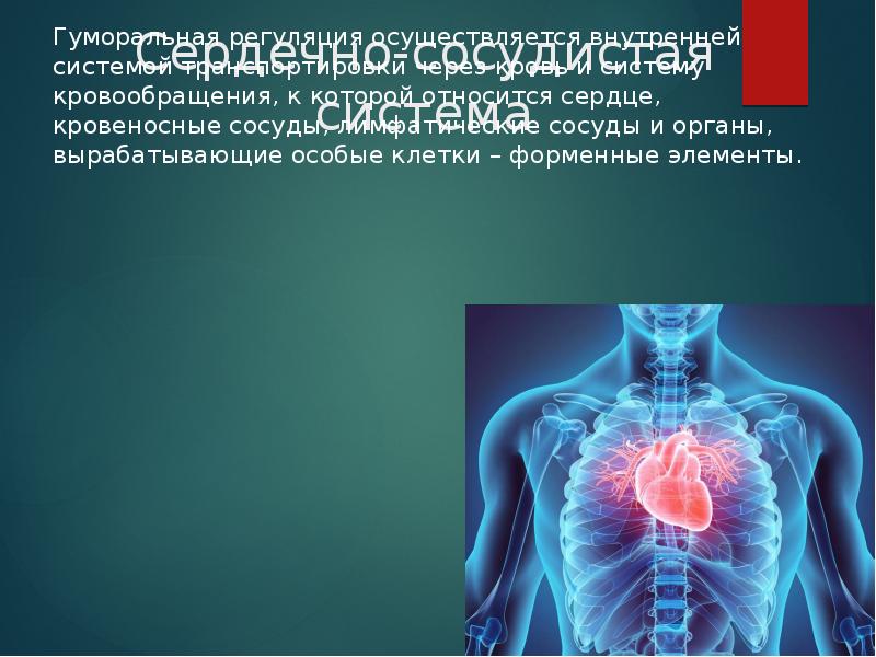 Функции организма. Основные функции организма человека. Основные физиологические функции организма. Три главные функции организма.