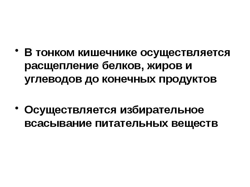 Расщепление белков в тонком кишечнике. В тонкой кишке белки расщепляются до.