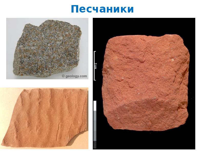 Туффиты горная порода. Известняк горная порода. Основные породы. Осадочная порода 7 букв. Осадочная порода 7 букв.
