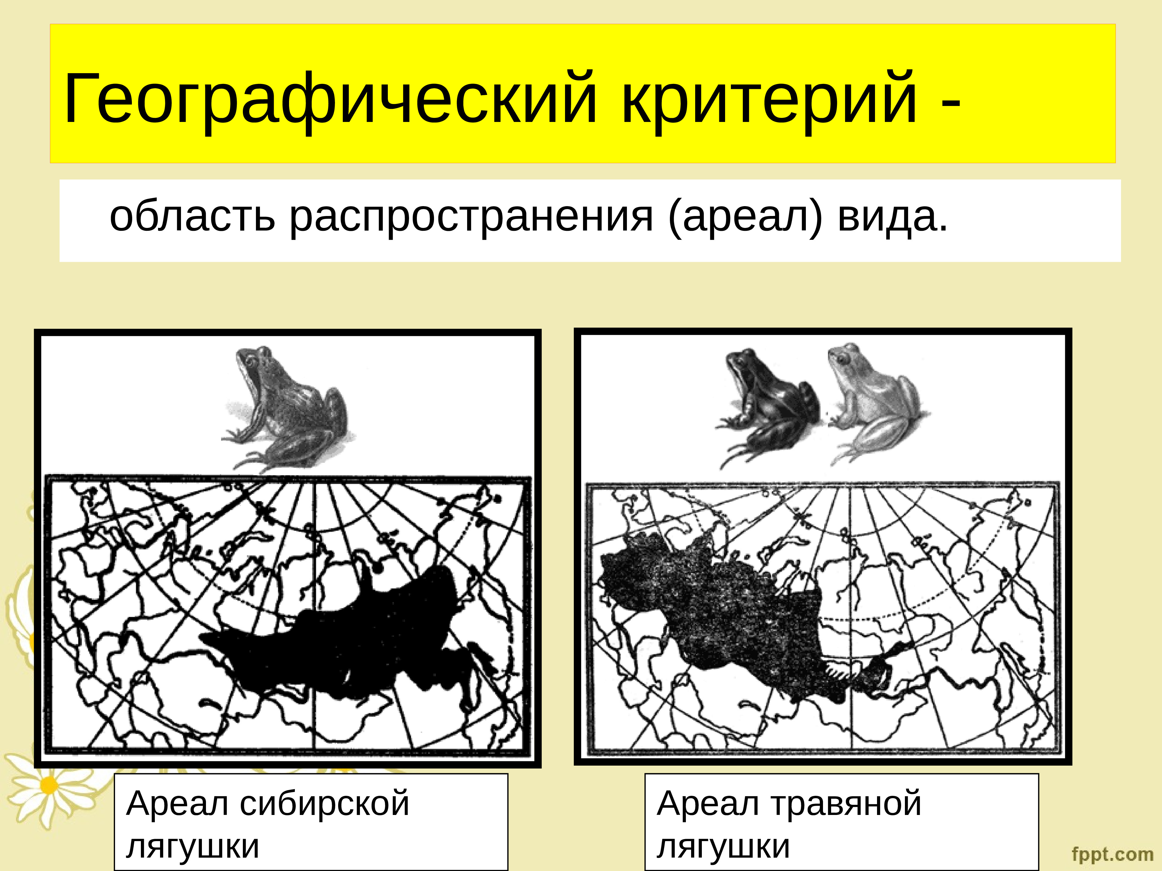 Формы ареалов. Ареал сибирской лягушки. Распространение видов. Типы ареалов.