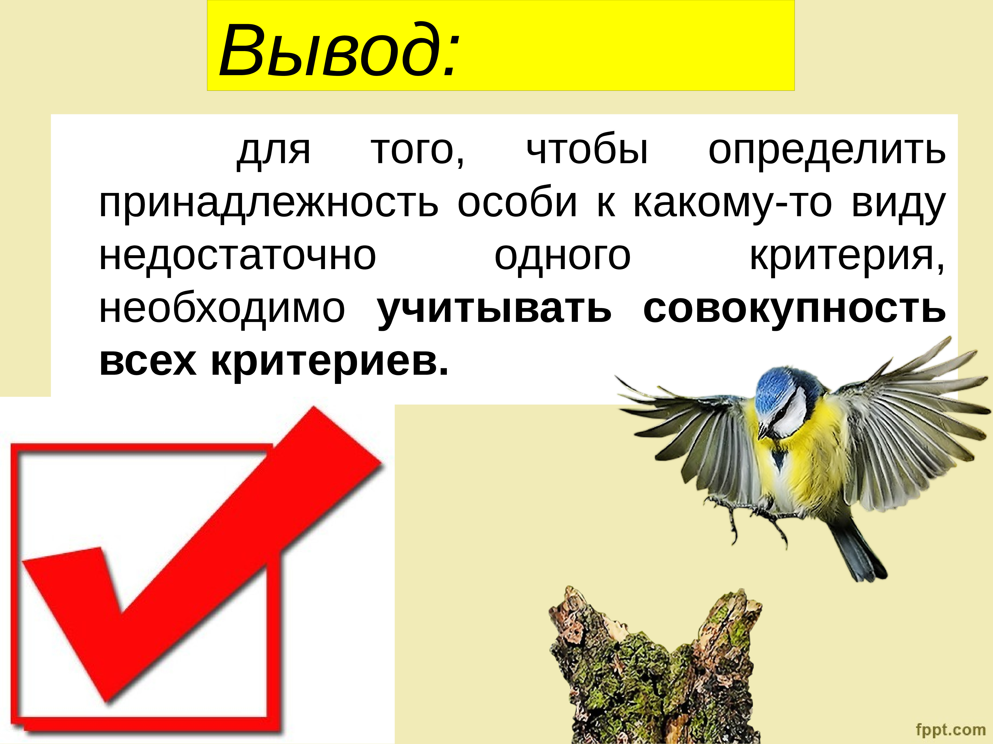 Выводите вид. Вывод вид и его критерии. Вид его критерии и структура презентация. Вид его критерии и структура вывод. Почему нужно учитывать все критерии вида.