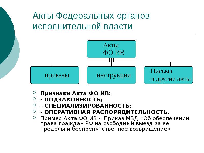 Ненормативные правовые акты исполнительной власти. Акты органов исполнительной власти. Акты федеральных органов.