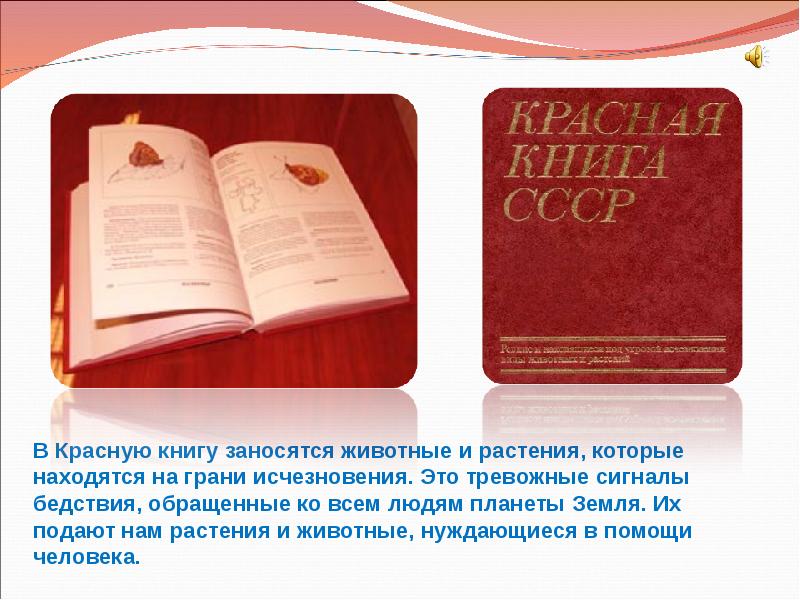 Красная книга сигнал тревоги проект 5 класс