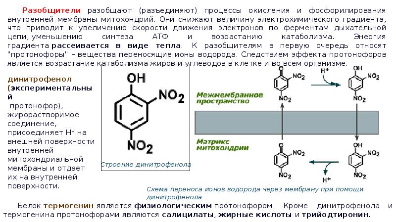 Что такое биологическое окисление